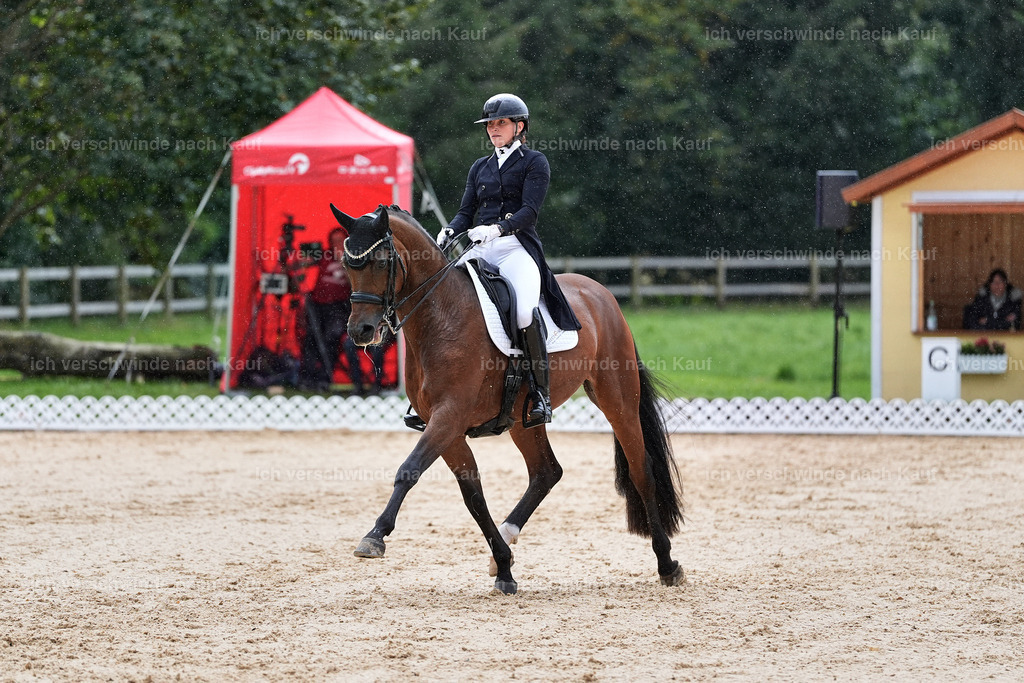 8_1-100-Klasse S_  -StoibPH-3879 | working equitationturnier fotograf videograf stoibphotography marixx film working equitation deutschland reitsport turnierfotografie eventfotografie equestrian events