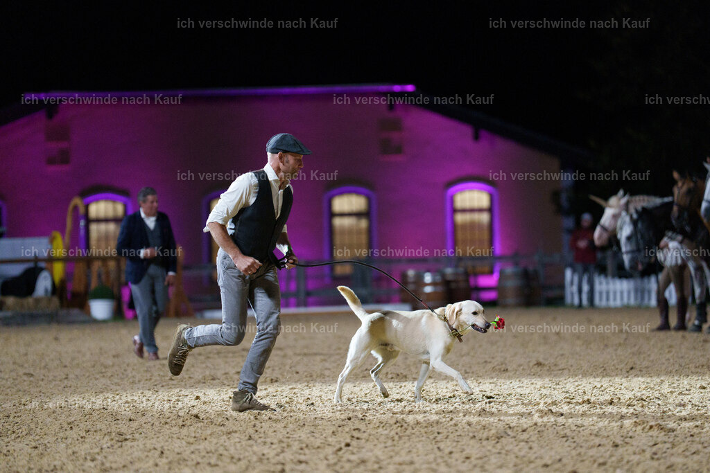 Gala-703 | working equitationturnier fotograf videograf stoibphotography marixx film working equitation deutschland reitsport turnierfotografie eventfotografie equestrian events