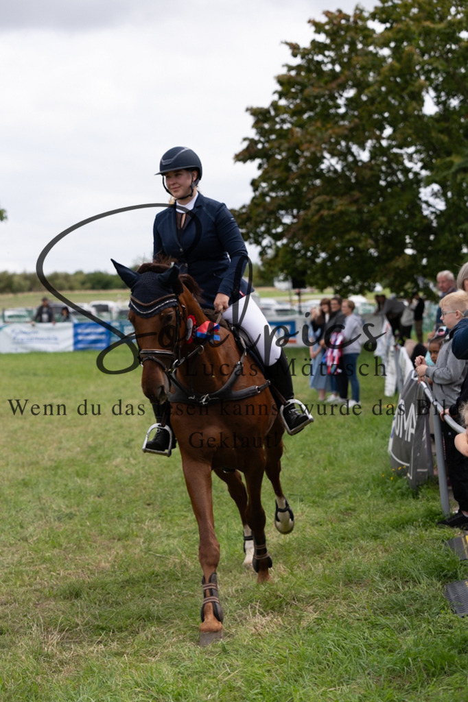 A7V05984 | Pferdefotograf