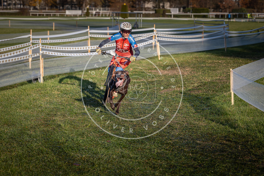 CaniXpix_0L8A3698 | Hundefotografie, Tierfotograf, Pfotenfotografie, Fotoshooting Hund, Hunde Portrait, Hundesport, Hundeportraits, Heideshooting, Hunde, Sportfotograf, Hundefotograf, Turnierhundsport, THS,  - Realisiert mit Pictrs.com