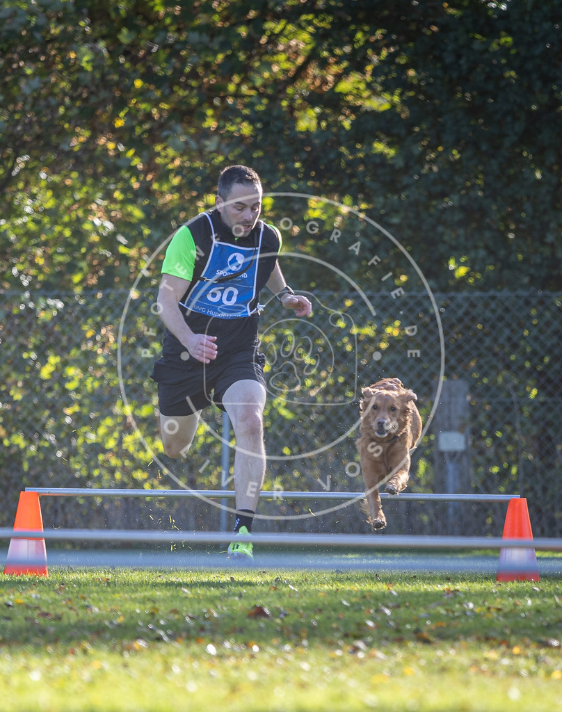 Pfotenfotografie.de_DV3A3151 | Hundefotografie, Tierfotograf, Pfotenfotografie, Fotoshooting Hund, Hunde Portrait, Hundesport, Hundeportraits, Heideshooting, Hunde, Sportfotograf, Hundefotograf, Turnierhundsport, THS, canicross - Realisiert mit Pictrs.com