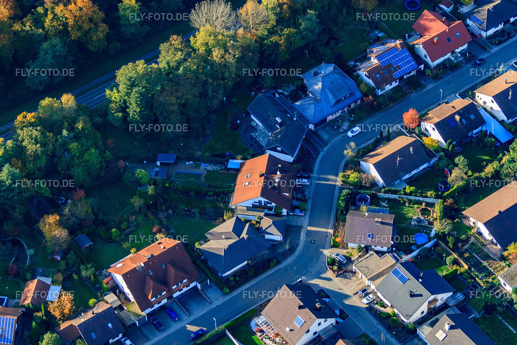 Südring | Luftbild: Südring in Rülzheim im Bundesland Rheinland-Pfalz in Deutschland. Foto: IMG_60475.jpg vom 24.10.2013 durch Werner Riehm/FLY-FOTO.de - Realisiert mit Pictrs.com