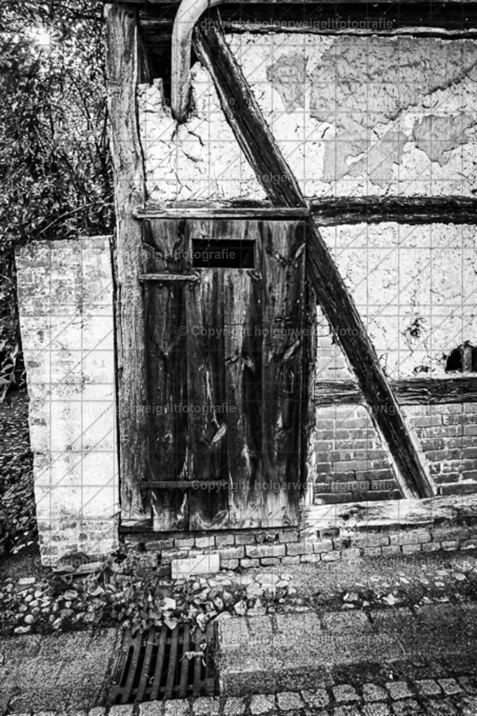 20221008123253D75_0727 | Kaufen sie online außergewöhnliche Fotografien auf Leinwand Acrylglas Fotoprint Aludibond von holgerweigeltfotografie - Realisiert mit Pictrs.com