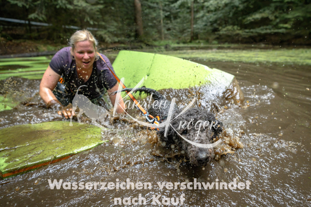 1537_ZZ91463-Bearbeitet | kk-dogfotos