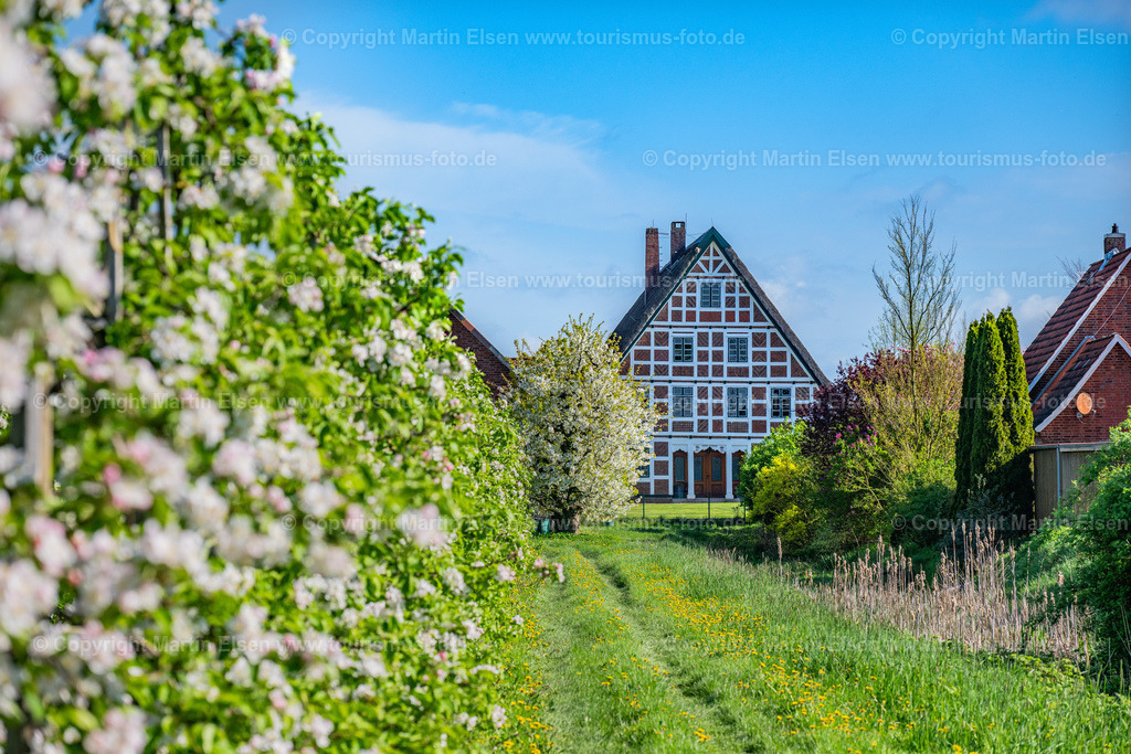 Altes Land Blüte Fachwerk_ELS_2081150424 | Fotos aus den Touristenorten aus Norddeutschland. - Realisiert mit Pictrs.com
