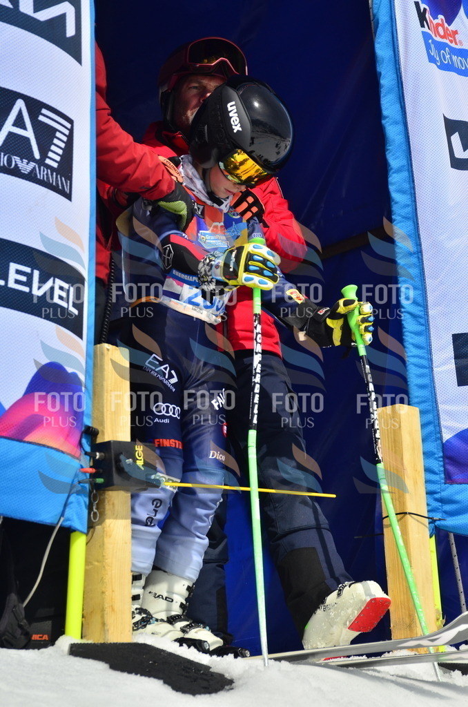 _ELE1434 | holidayphoto