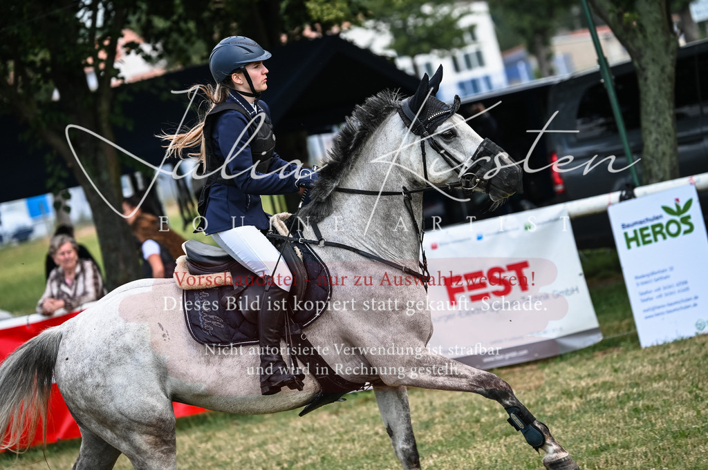 DSC_8141 | Pferde- und Turnierfotografie in Westsachsen. Pferdeportraits, Auftragszeichnungen und intuitive Kunst.