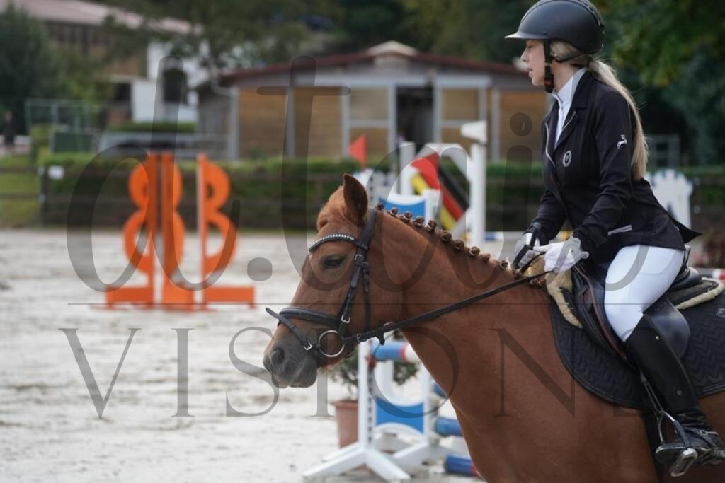 rveinoedsonntag (84) | d.tail Visions - Shop - Realisiert mit Pictrs.com