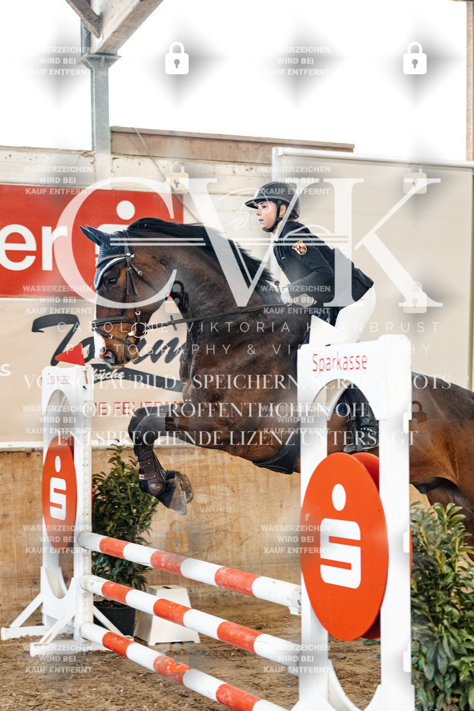 CK904418 | Turnierfotografie Pferdefotografie Trier Rheinland-Pfalz Pferdesport Reitsport Tierfotografie Sportfotografie Pferdevideo Pferdevideografie Equestrianvideography equestrianphotography  - Realisiert mit Pictrs.com