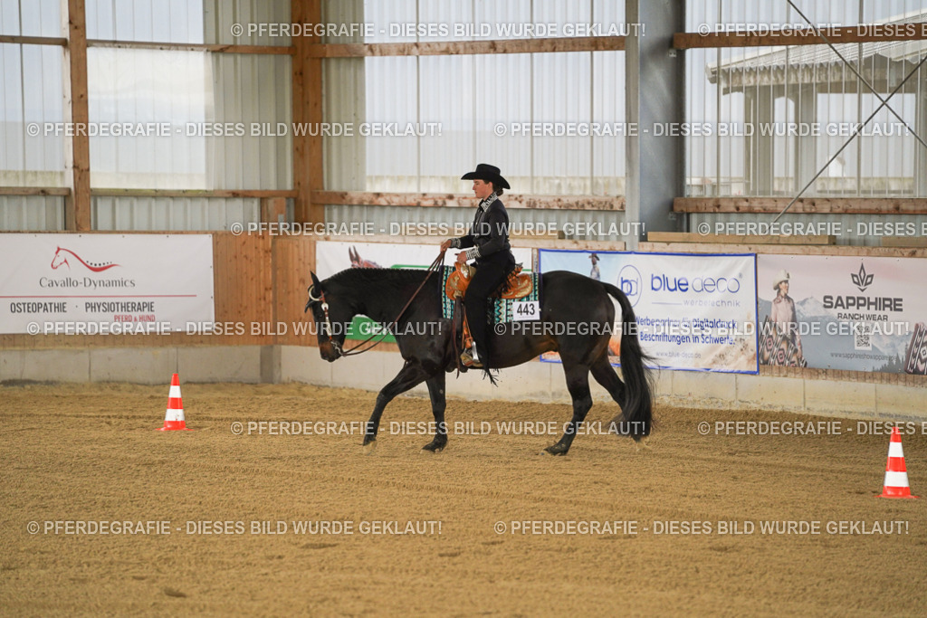 DSC09534 | Pferdegrafie