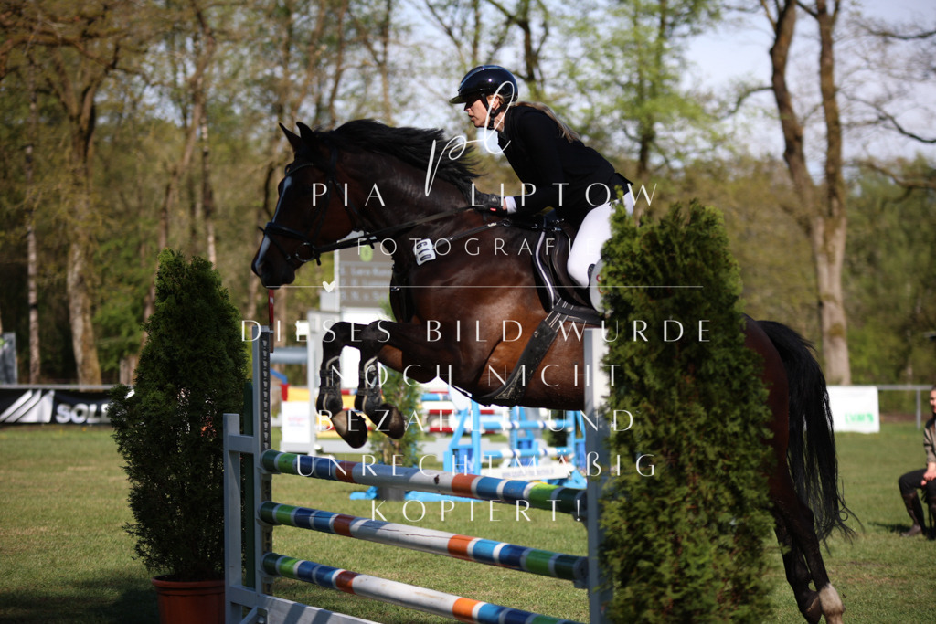 IMGT0306 | pl-fotografie