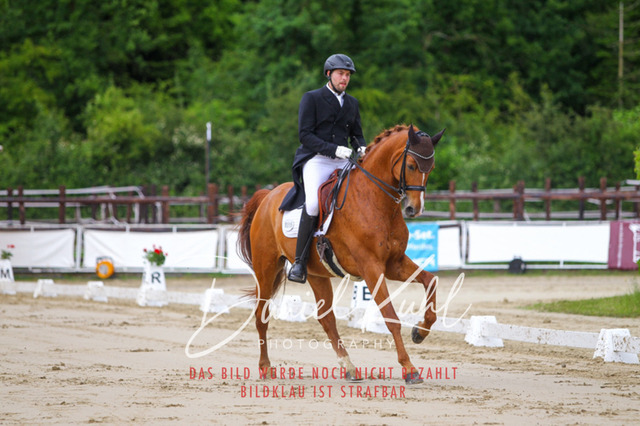 DKP47888 | Turnierfotos kaufen im Webshop von Daniel Kuhl Photography – entdecke professionelle Reitsportfotos aus Turnieren & Events. Hochwertige Turnierbilder online bestellen & sichern. Jetzt Fotos von Reitsportturnieren kaufen!
