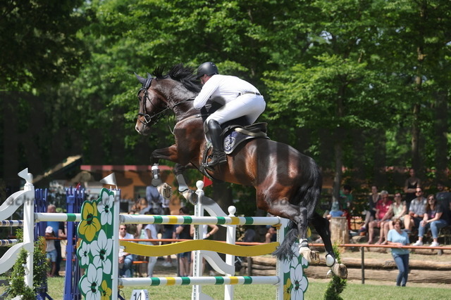 Weingarten_2024_Prfg.Nr.01_Springprüfung_Kl.S_Andreas Wittlinger_Carlo Magno 2 (4) | Alle Fotos der Reiterjournal Fotografin Doris Matthaes im Reiterjournal Online-Fotoshop. - Realisiert mit Pictrs.com