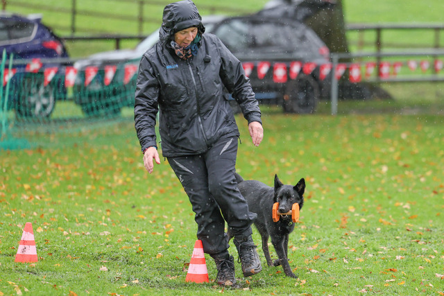 2025_Rally_Obedience_SM-148 | Ich fotografiere Hundeausstellungen, Sportanlässe, Zuchtstätten, Hundezucht, Hundeportrait, Lagotto - Realisiert mit Pictrs.com