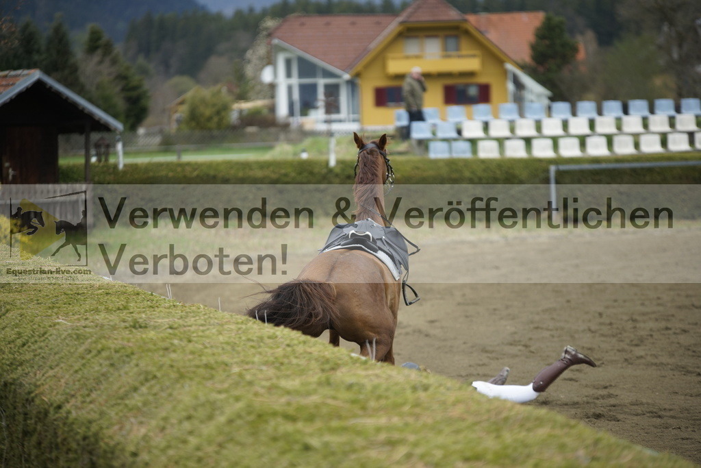 _DSC7165 | equestrian-live-com