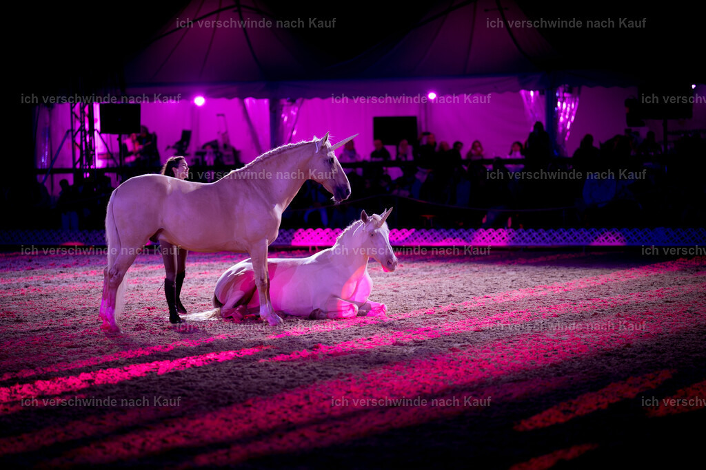 Gala-426 | working equitationturnier fotograf videograf stoibphotography marixx film working equitation deutschland reitsport turnierfotografie eventfotografie equestrian events