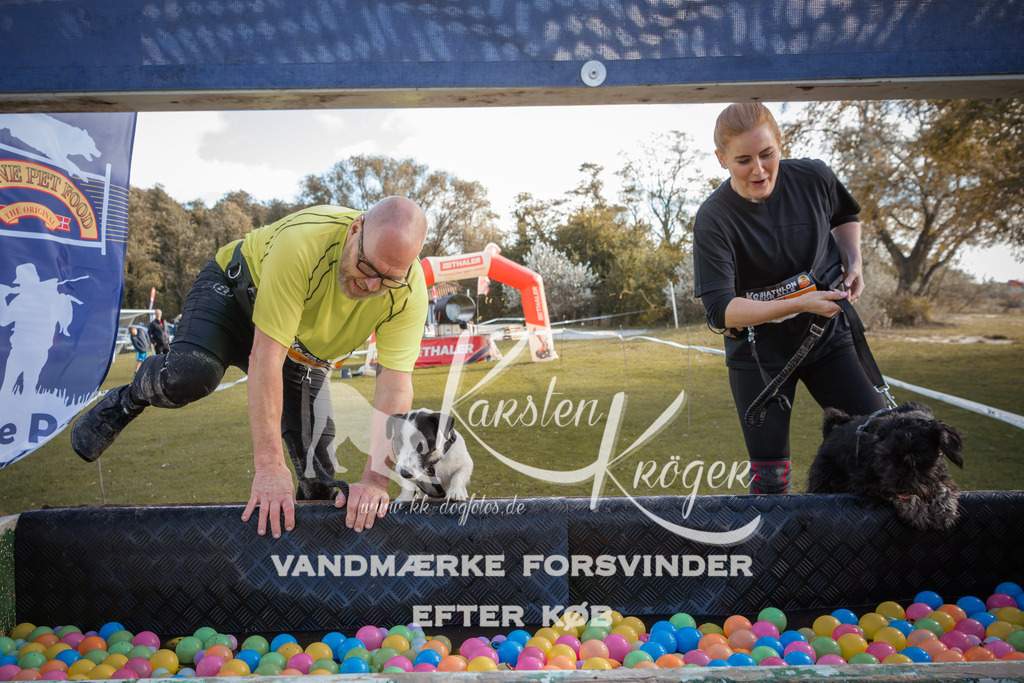 1321_ZZ90241-2 | kk-dogfotos