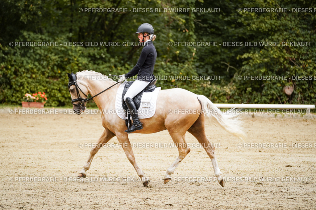 DSC08428 | Pferdegrafie