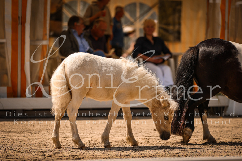 01.DoKR00063 | Leoni Ertmer Photography - Realisiert mit Pictrs.com