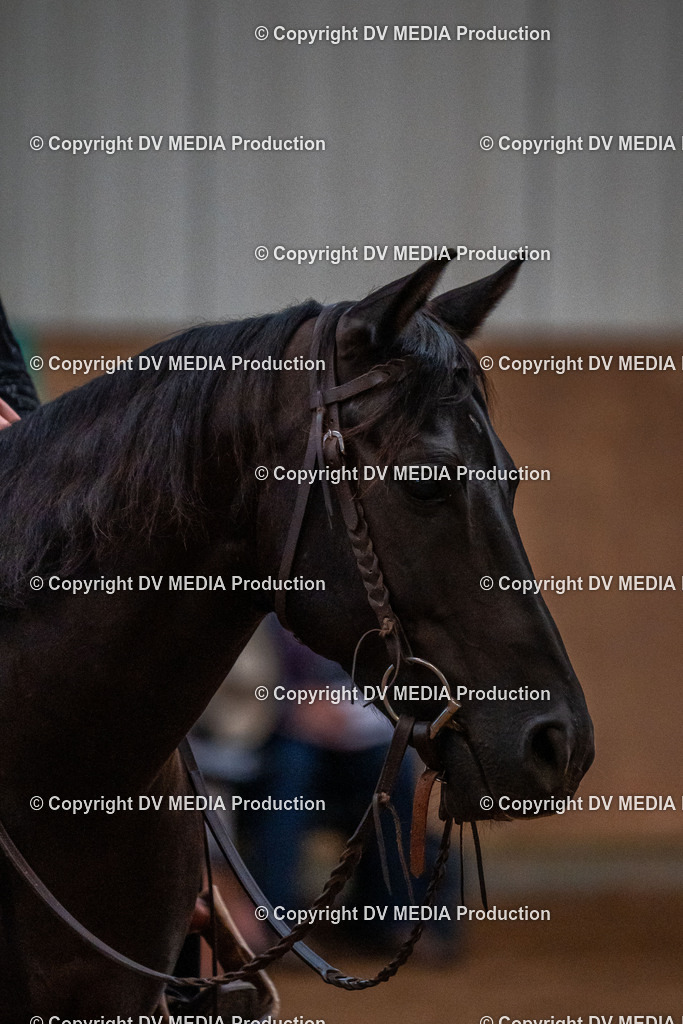 Neckargemünd Tag 3-137 | dv-media-shop - Realisiert mit Pictrs.com