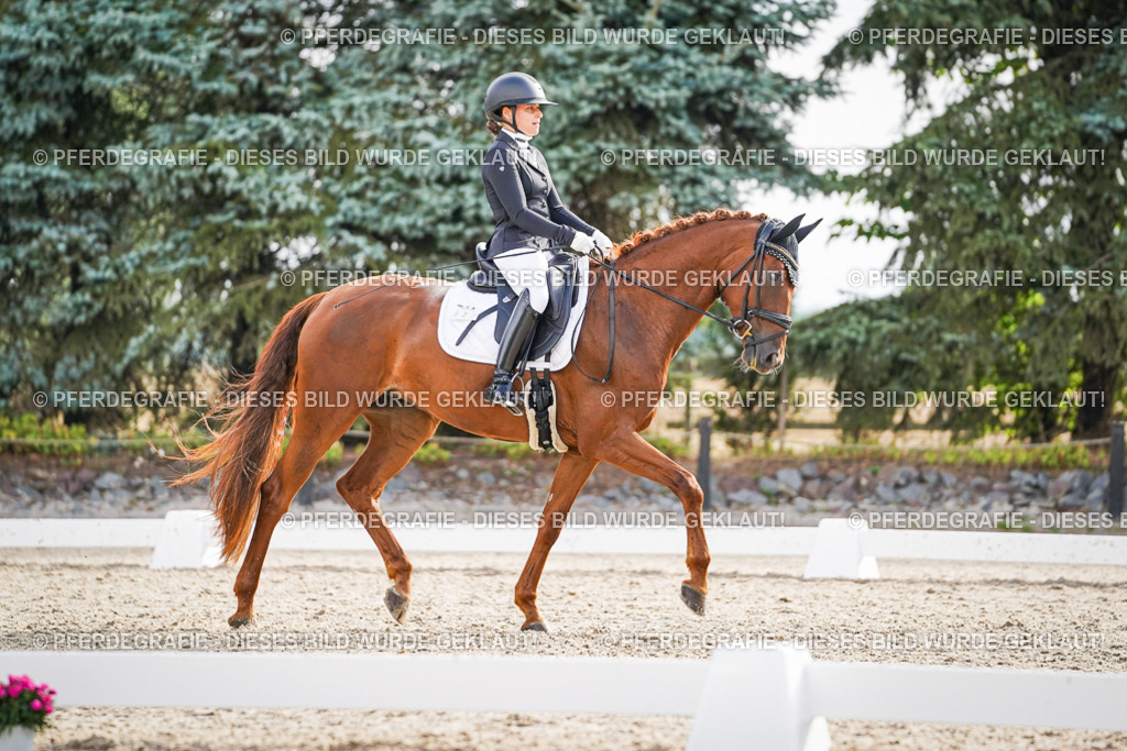 DSC00742 | Pferdegrafie