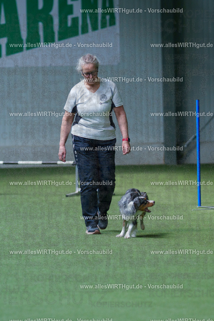 @allesWIRTHgut_Tierfotografie - www.allesWIRTHgut.de - 2604251357-7R504417 | Professionelle Tierfotografie in Mönchengladbach von Daniel Wirth (allesWIRTHgut). Liebevolle & natürliche Bilder von Hunden & Katzen für unvergessliche Erinnerungen.