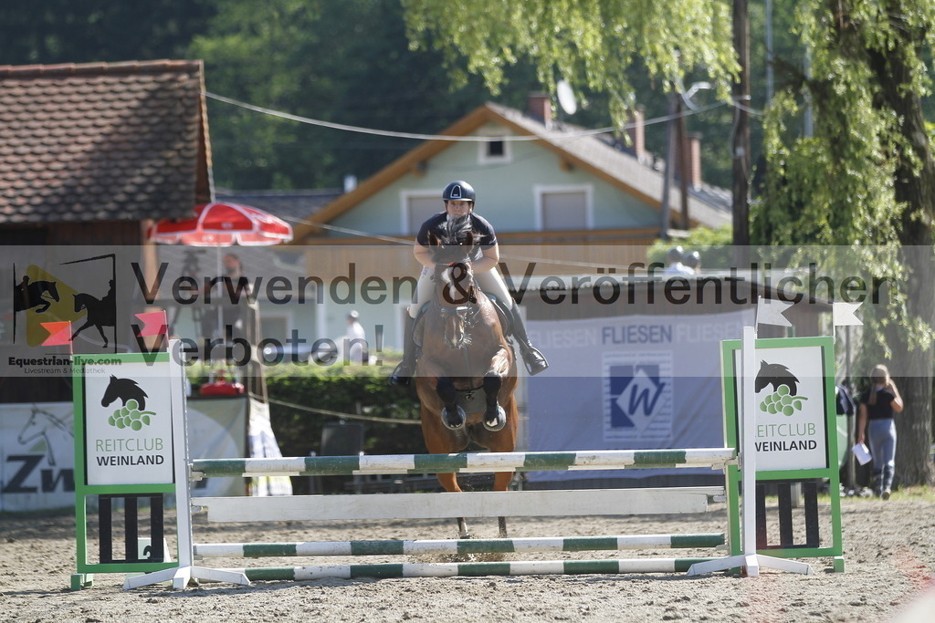 _MG_8410 | equestrian-live-com