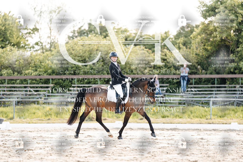 CK909479 | Turnierfotografie Pferdefotografie Trier Rheinland-Pfalz Pferdesport Reitsport Tierfotografie Sportfotografie Pferdevideo Pferdevideografie Equestrianvideography equestrianphotography  - Realisiert mit Pictrs.com