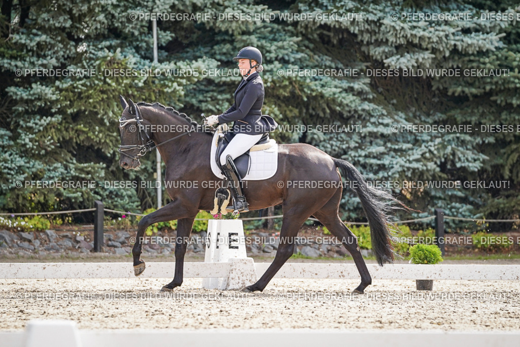 DSC07160 | Pferdegrafie