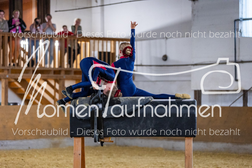 Holzpferd-081 | MomenTaufnahmen Pferdesportfotos