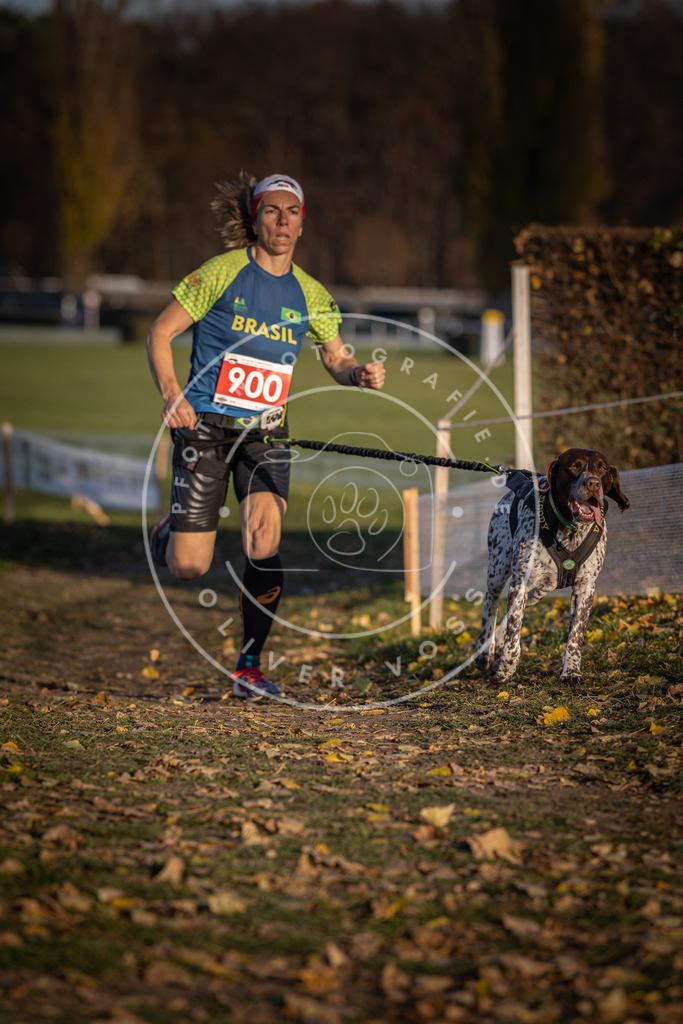 CaniXpix_DV3A3936 | Hundefotografie, Tierfotograf, Pfotenfotografie, Fotoshooting Hund, Hunde Portrait, Hundesport, Hundeportraits, Heideshooting, Hunde, Sportfotograf, Hundefotograf, Turnierhundsport, THS,  - Realisiert mit Pictrs.com