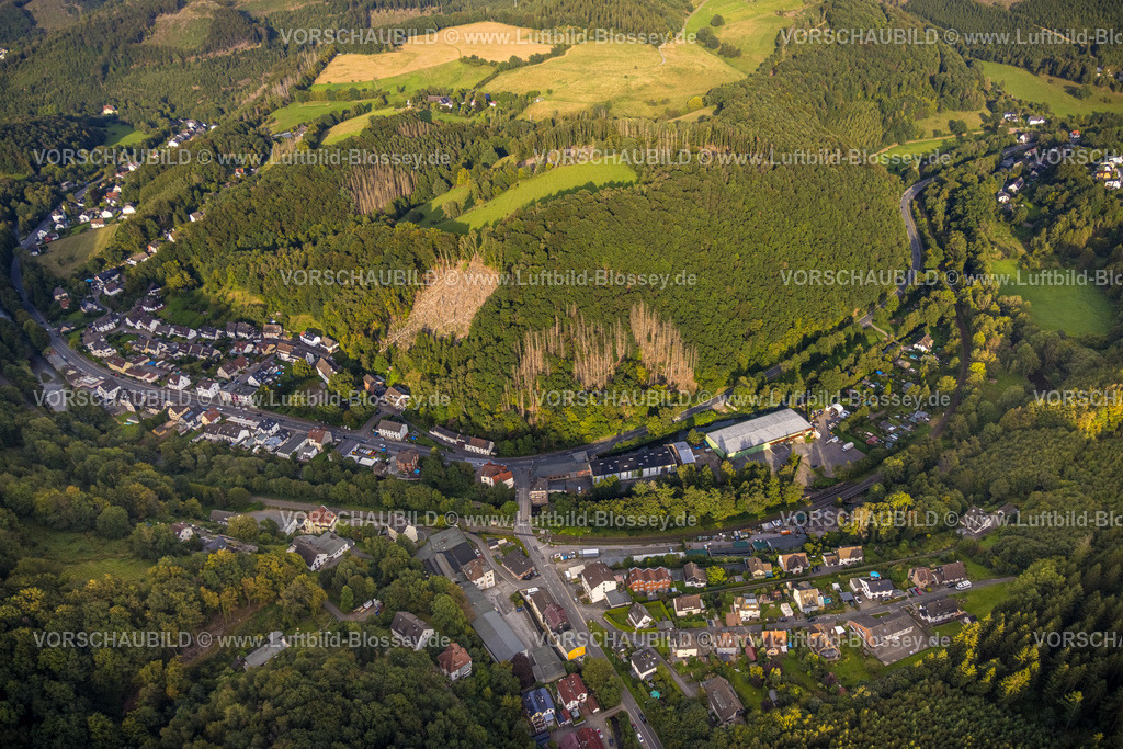 Hagen230904036 | Luftbild, Ortsteil Priorei, Waldgebiet mit Waldschäden, Dahl, Hagen, Ruhrgebiet, Nordrhein-Westfalen, Deutschland
