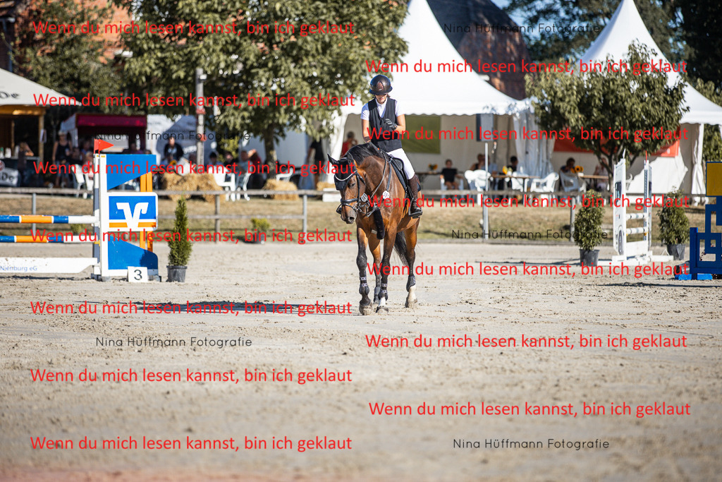 BK1A7438 | Turnierbilder Turnierfotos Nina Hüffmann Turnierfotografie Pferdefotografie Tierzeichnung Haustierzeichnung Pferdezeichnung Hundezeichnung Videograf  - Realisiert mit Pictrs.com