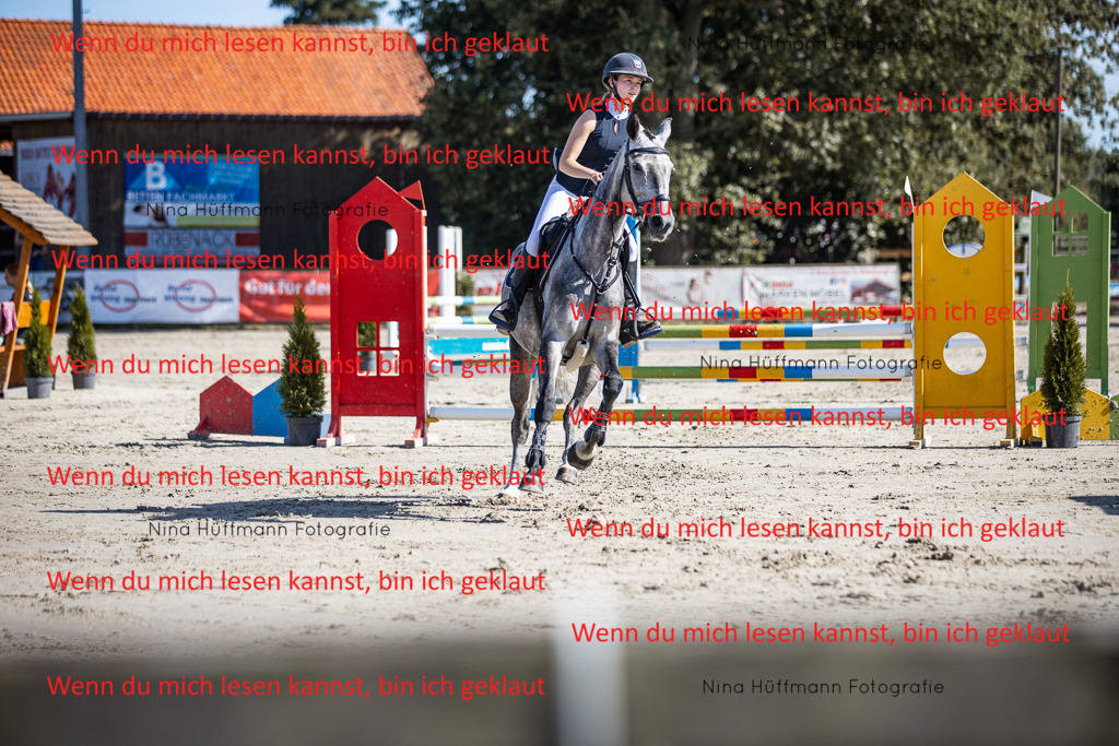 BK1A7096 | Turnierbilder Turnierfotos Nina Hüffmann Turnierfotografie Pferdefotografie Tierzeichnung Haustierzeichnung Pferdezeichnung Hundezeichnung Videograf  - Realisiert mit Pictrs.com