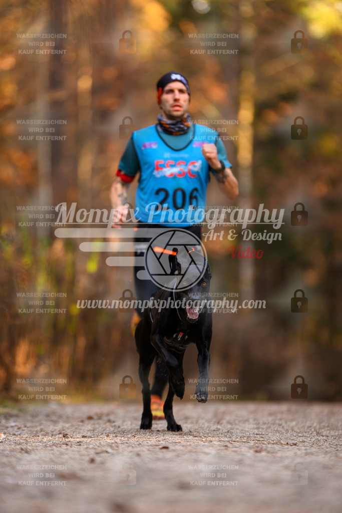 MompixPhotography_DM_AKDM_SO_2025_-12 | PayLife