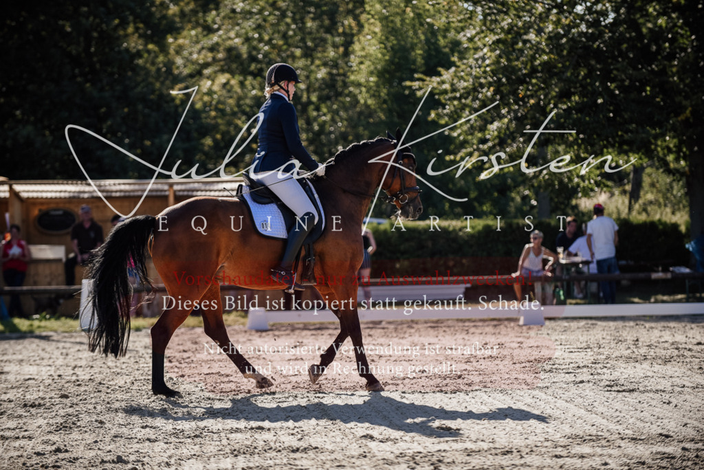 DSC_0417 | Pferde- und Turnierfotografie in Westsachsen. Pferdeportraits, Auftragszeichnungen und intuitive Kunst.