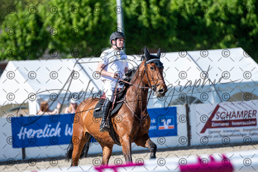 KPT_1549 | andre_photographic