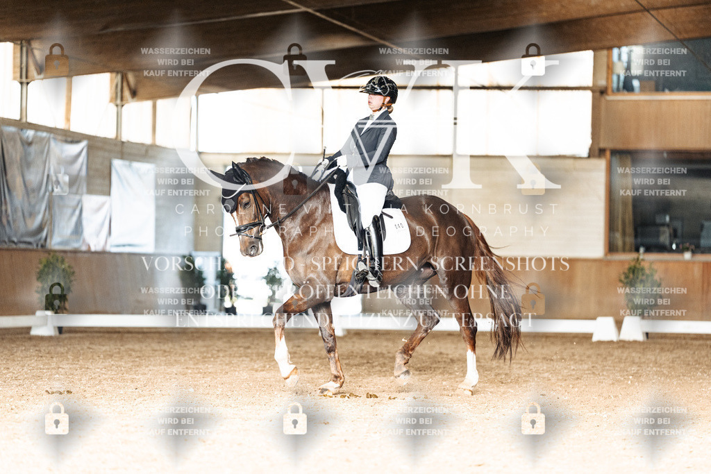 CK902721 | Turnierfotografie Pferdefotografie Trier Rheinland-Pfalz Pferdesport Reitsport Tierfotografie Sportfotografie Pferdevideo Pferdevideografie Equestrianvideography equestrianphotography  - Realisiert mit Pictrs.com