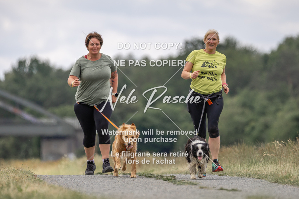nelerasche_BuHu2026_SaCC1100-1200_251 | nelerasche