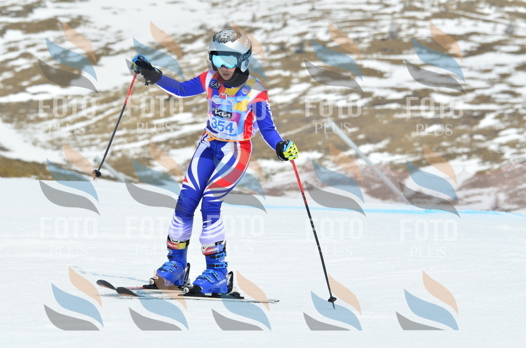 _ELE2730 | holidayphoto