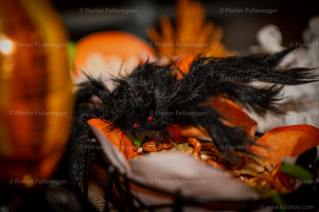 Halloween-12 | "Fussifoto.com – Ihr Ansprechpartner für hochwertige Fotografie! Entdecken Sie kreative Bilder und professionelle Dienstleistungen. Kontaktieren Sie uns für Ihre Projekte!"