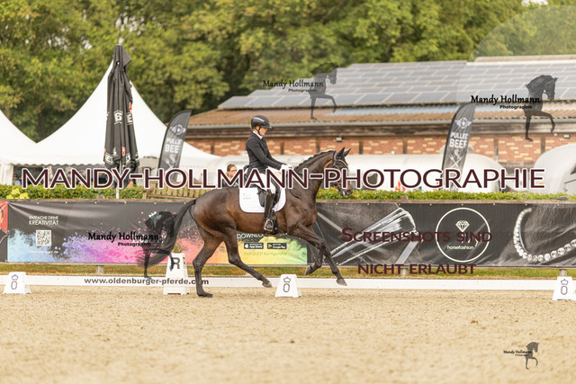 SW 4-1129 | mandyhollmannphotographie