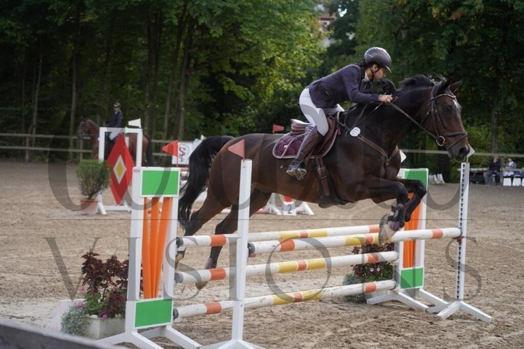 rveinoedsonntag (974) | d.tail Visions - Shop - Realisiert mit Pictrs.com