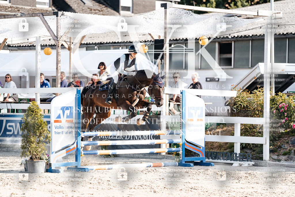 CK909564 | Turnierfotografie Pferdefotografie Trier Rheinland-Pfalz Pferdesport Reitsport Tierfotografie Sportfotografie Pferdevideo Pferdevideografie Equestrianvideography equestrianphotography  - Realisiert mit Pictrs.com