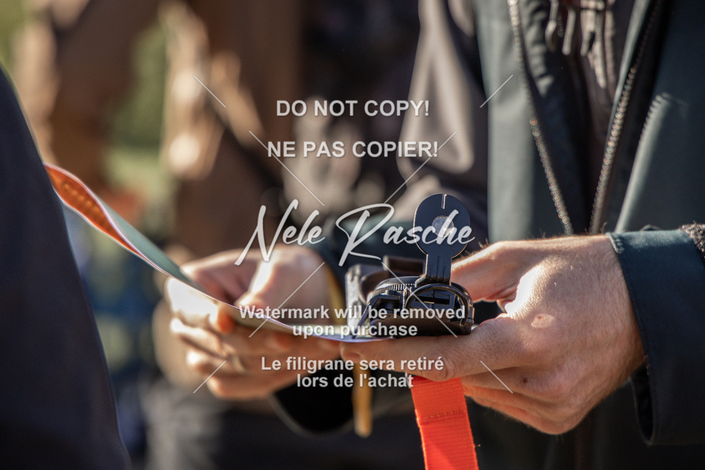 NR__0645-2 | nelerasche
