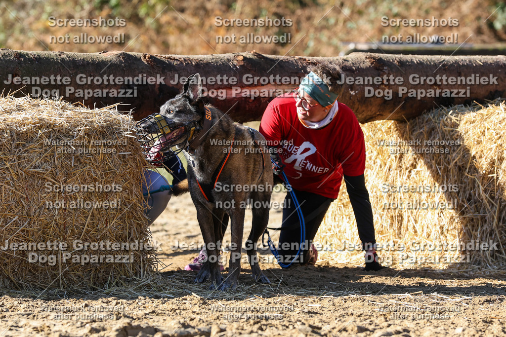 Dog Paparazzi - Strongdog 10-25-2783 | Dog Paparazzi Jeanette Grottendiek Fotografie & Videografie - Realisiert mit Pictrs.com