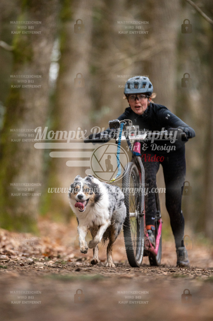 SPA_2023_DIM_Scooter-37 | PayLife