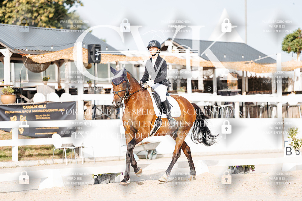 CK904088 | Turnierfotografie Pferdefotografie Trier Rheinland-Pfalz Pferdesport Reitsport Tierfotografie Sportfotografie Pferdevideo Pferdevideografie Equestrianvideography equestrianphotography  - Realisiert mit Pictrs.com