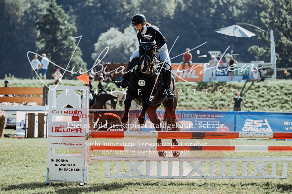 DSC_5763 | Pferde- und Turnierfotografie in Westsachsen. Pferdeportraits, Auftragszeichnungen und intuitive Kunst.