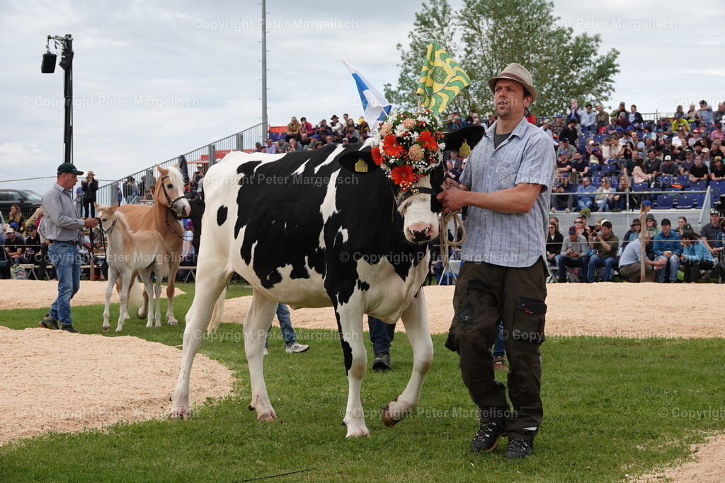 DSC00684 | Schwingen - Realisiert mit Pictrs.com